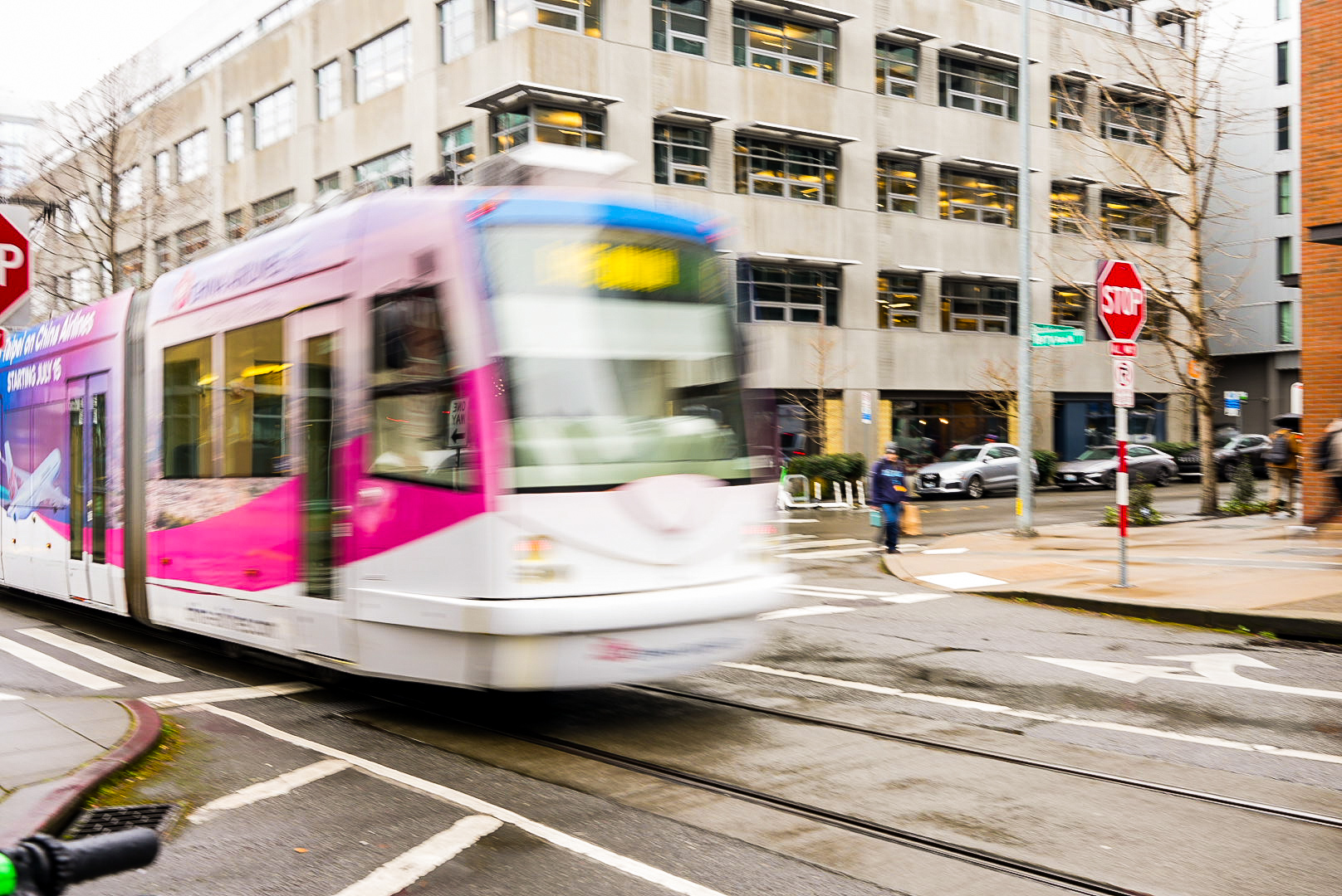 Forest after wildfire