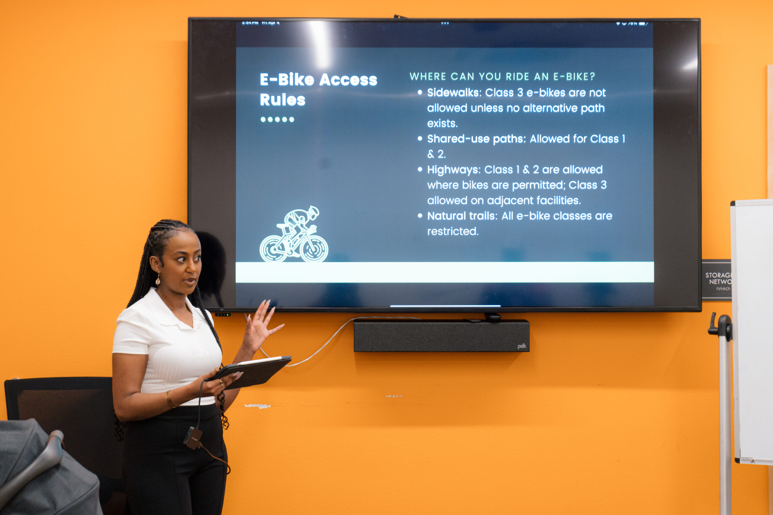 Forest after wildfire