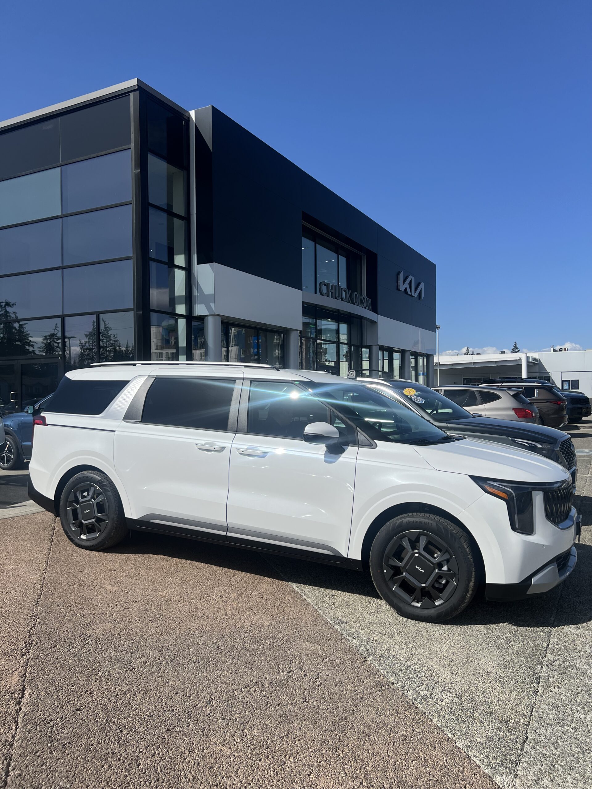 Forest after wildfire